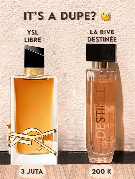 dupe libre ysl action|ysl intense dupe.